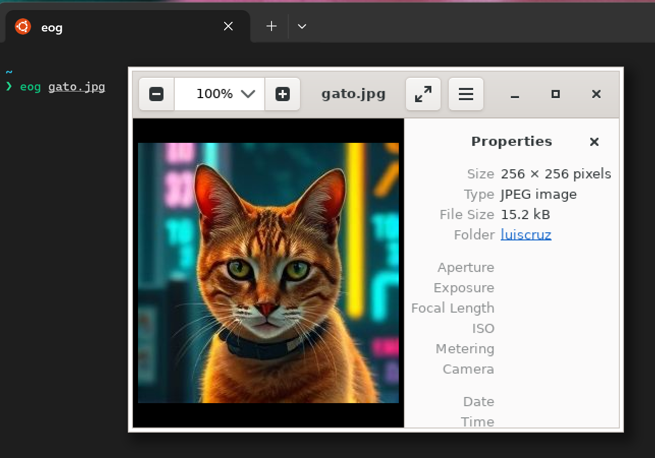 gato_estilo_cyberpunk_resultado